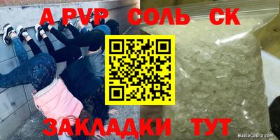 гашик Новозыбков